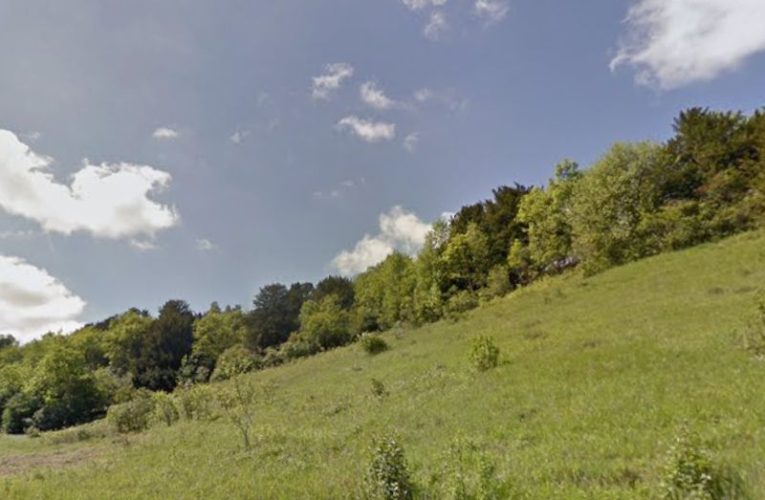 Surrey Hills National Landscape to expand?
