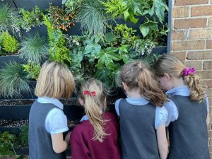 School children grow plants