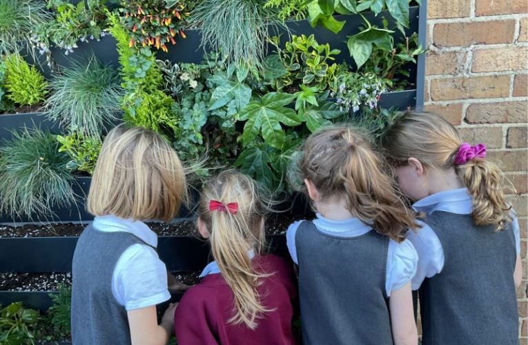 School children grow plants