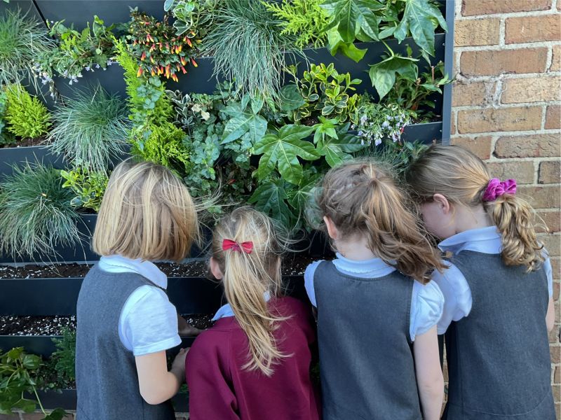 School children grow plants