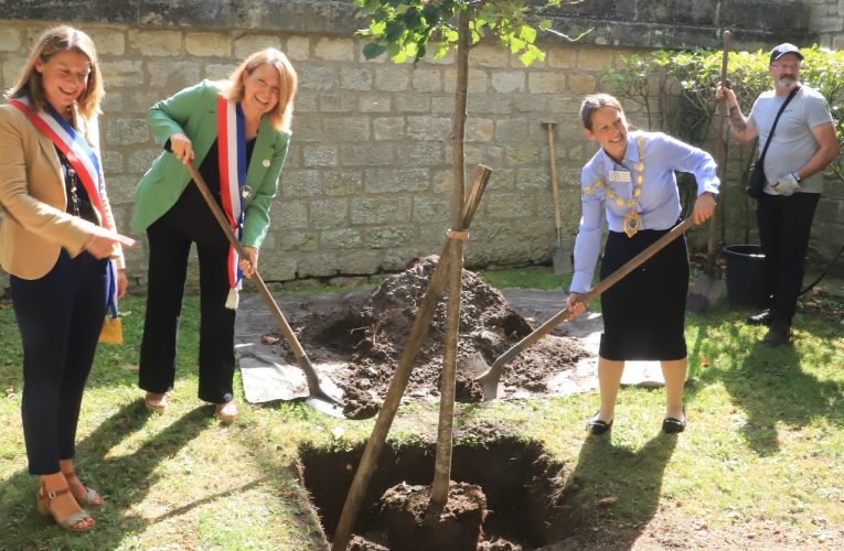 Mayoral tree planting. Epsom news
